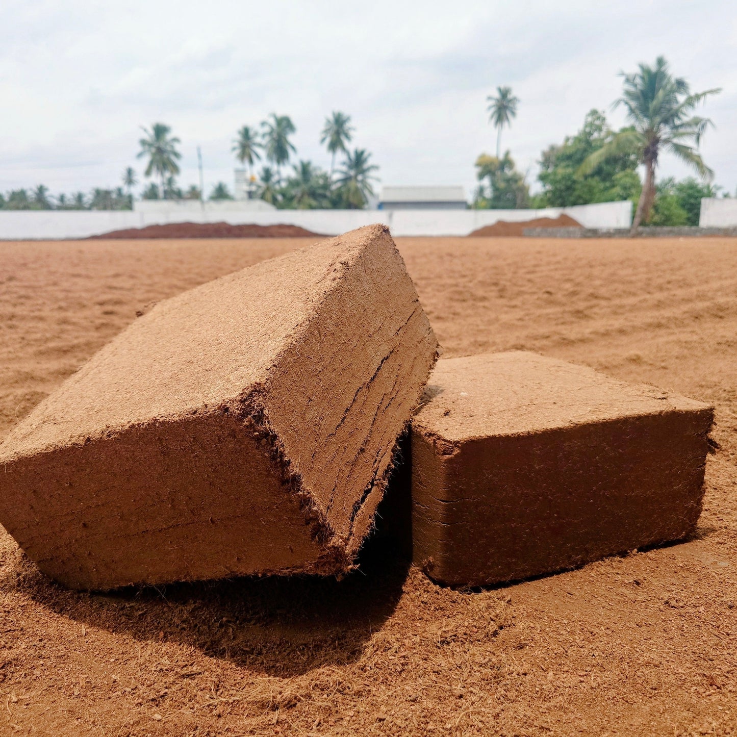 Cocopeat Brick